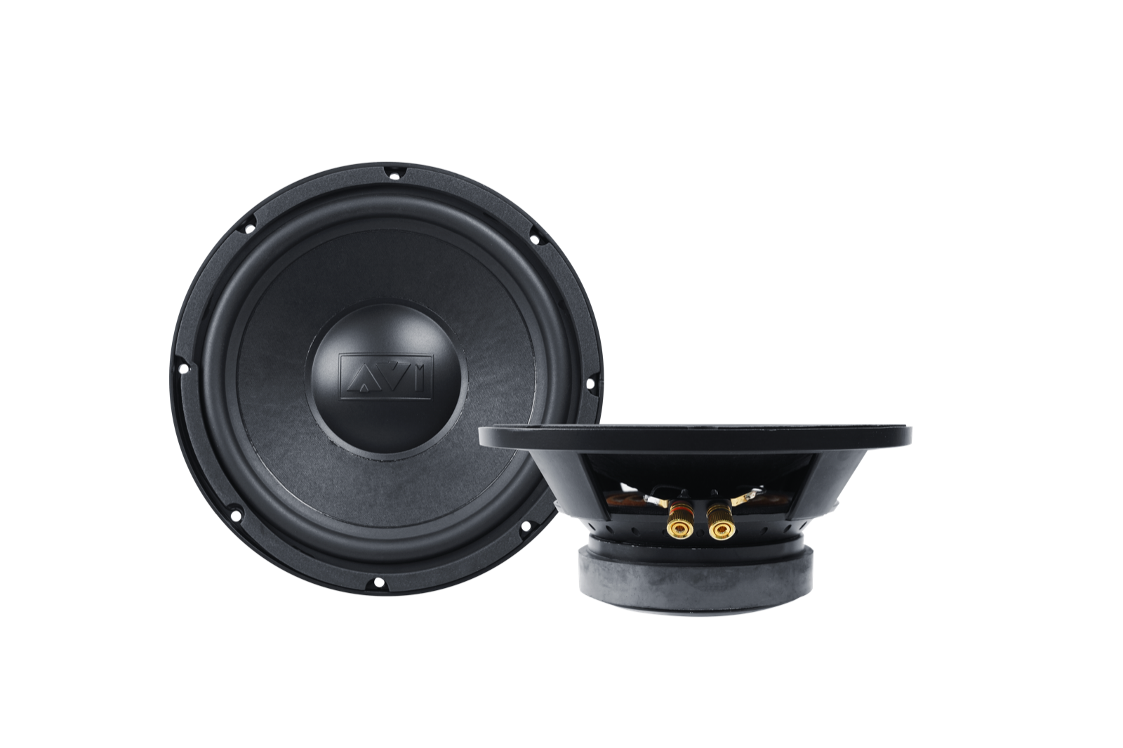 AVI EL-250 subwoofer