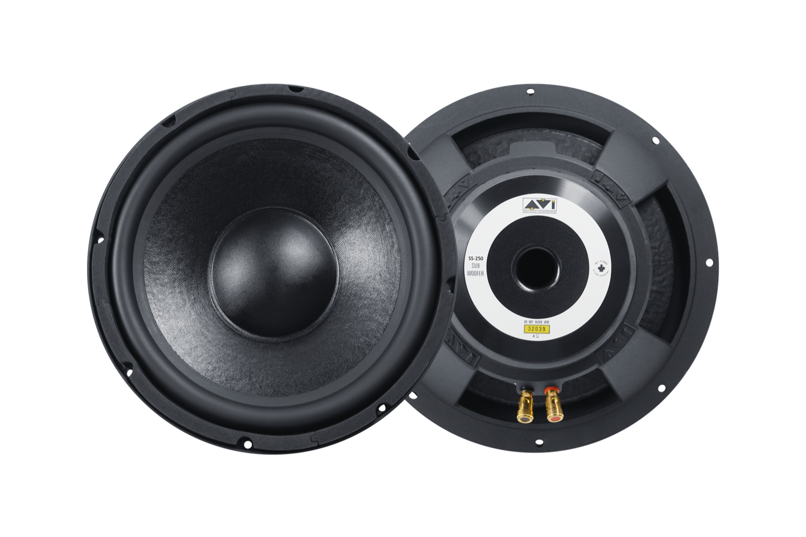 AVI SS-250 subwoofer